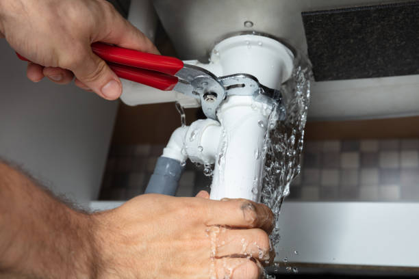 Best Professional water damage repair  in Bellerose, NY