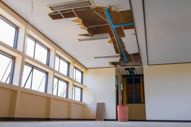 Best Water damage restoration mold remediation  in Bellerose, NY