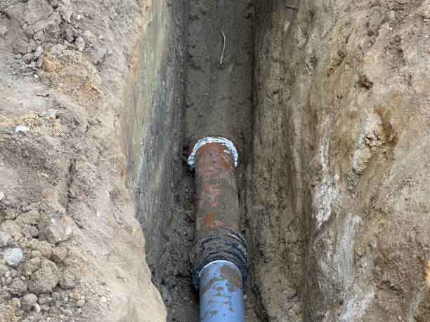 Best Flood damage cleanup  in Bellerose, NY