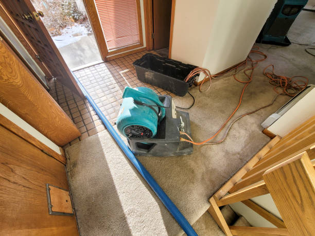 Bellerose, NY Water damage restoration Company