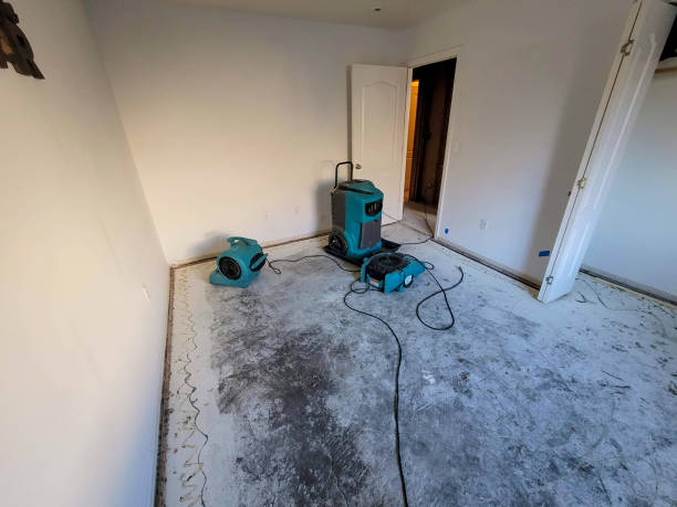 Best Basement water damage restoration  in Bellerose, NY