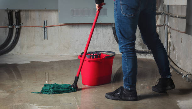 Best Water damage contractors near me  in Bellerose, NY
