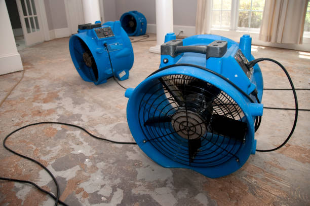 Best Fire Damage Restoration  in Bellerose, NY