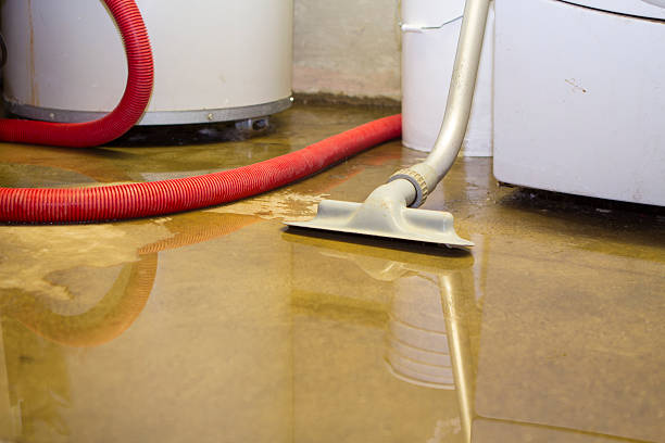 Best 24-hour water damage restoration  in Bellerose, NY