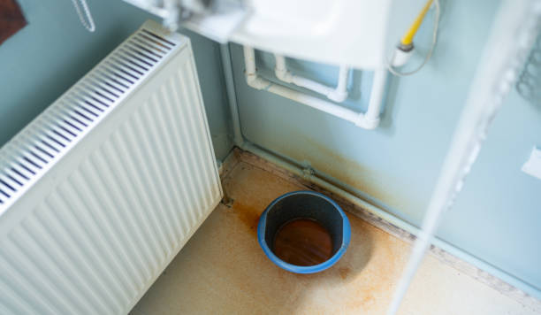  Bellerose, NY Water damage restoration Pros