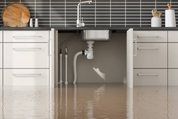 Best Sewage cleanup and water damage restoration  in Bellerose, NY