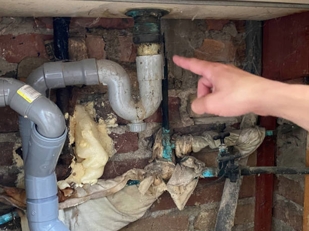  Bellerose, NY Water damage restoration Pros