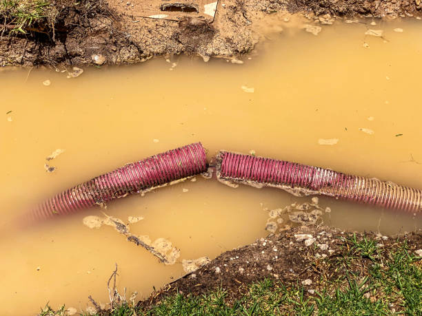 Best Water damage restoration company  in Bellerose, NY