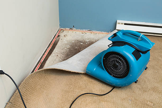 Best Basement water damage restoration  in Bellerose, NY