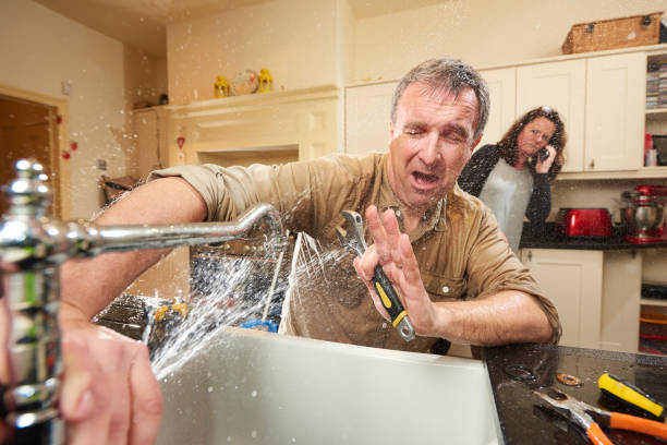 Best Sewage cleanup and water damage restoration  in Bellerose, NY